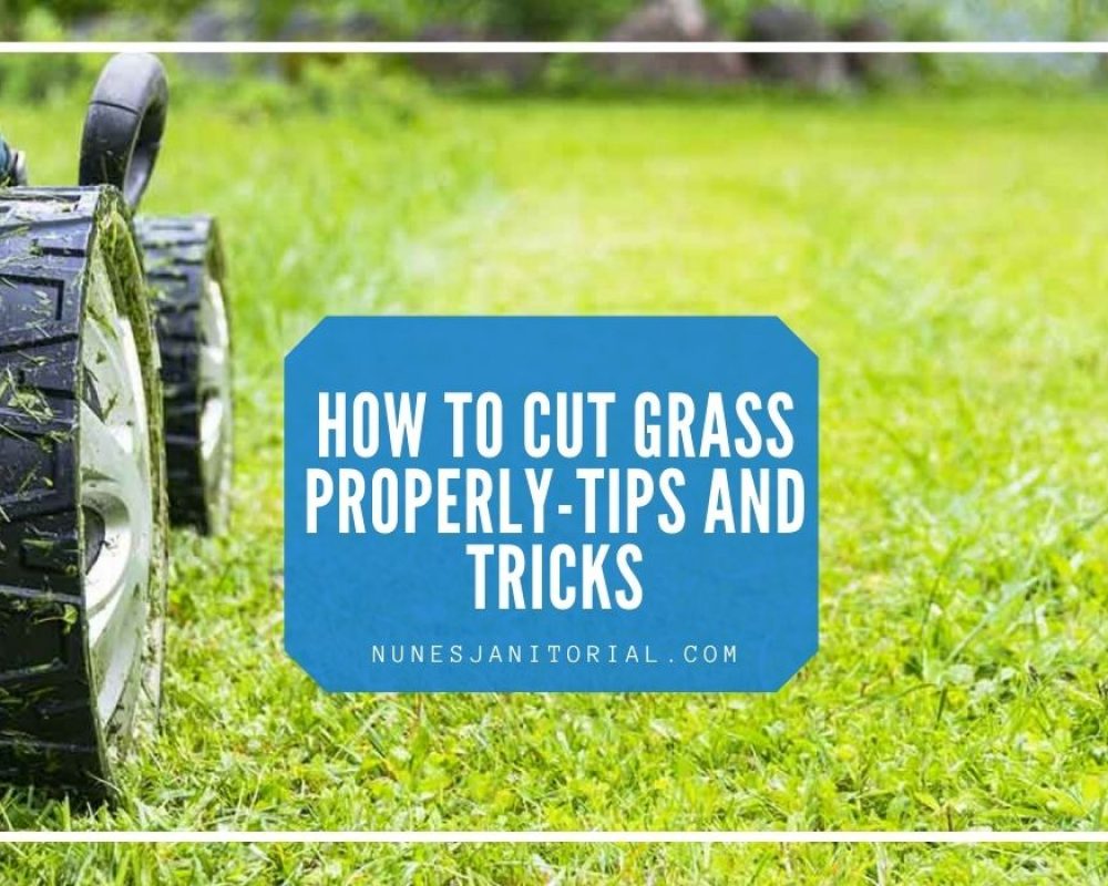 How to Cut Grass Properly