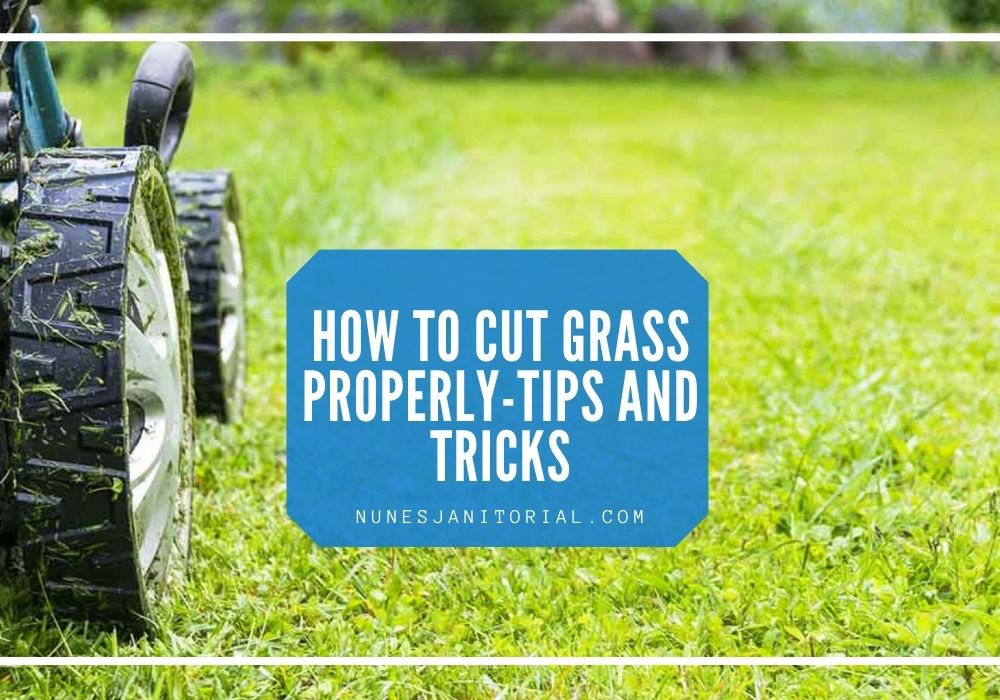 How to Cut Grass Properly